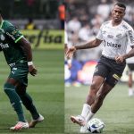 Onde assistir Palmeiras x Santos da rodada 26 Brasileirão Série A 2023? - SKY TV